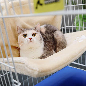 Lit pour animaux domestiques, lit d'été confortable pour <span class=keywords><strong>chat</strong></span>, <span class=keywords><strong>radiateur</strong></span> Super doux, fenêtre hamac pour <span class=keywords><strong>chat</strong></span>, populaire en allemagne - Product Image 6