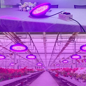 Quang phổ đầy đủ cao bay tím dẫn phát triển ánh sáng màu đỏ màu xanh <span class=keywords><strong>LED</strong></span> Highbay phát triển ánh sáng nhà kính Rau diếp dâu tây dưa chuột làm vườn - Product Image 5
