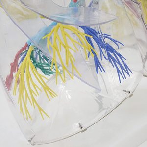 Mô Hình Phổi Người Mô Hình Phổi Giải Phẫu Phân Đoạn Mở Rộng Cơ Quan Hô Hấp Người Mô Hình Giải Phẫu Trong Suốt - Product Image 6