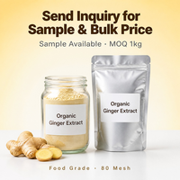 Extracto de Raíz de Jengibre Orgánico USDA en Polvo, Grado Alimenticio, Extracto Natural de Jengibre, Ingrediente para Suplementos, Proveedor Mayorista a Granel