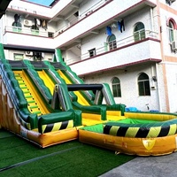 Toboggan aquatique gonflable personnalisé avec piscine, toboggan géant de qualité commerciale en PVC pour enfants et adultes, directement de l'usine