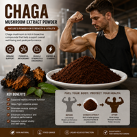 Puur Chaga-paddenstoelenextractpoeder Inonotus Obliquus supplement voor immuunondersteuning, voedingskwaliteit, vloeibaar-vaste extractie, bulk
