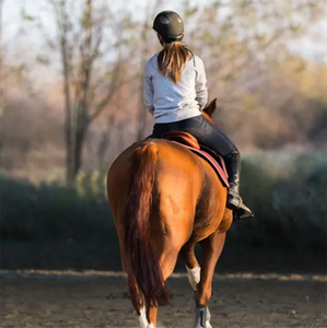 Calzoni <span class=keywords><strong>da</strong></span> competizione per sedili completi collant <span class=keywords><strong>da</strong></span> <span class=keywords><strong>equitazione</strong></span> con stampa in Silicone <span class=keywords><strong>pantaloni</strong></span> equestri con tasche per cintura Leggings <span class=keywords><strong>da</strong></span> donna - Product Image 2