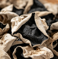 Champignons noirs séchés, champignons oreilles de chat blancs et croustillants, vente en gros pour salades et sautés