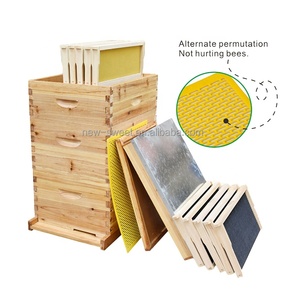 Sáp tráng 3 lớp langstroth tổ ong 10 khung thiết bị nghề nuôi ong bằng gỗ Mật Ong <span class=keywords><strong>Bee</strong></span> <span class=keywords><strong>Hive</strong></span> hộp cho ong - Product Image 1
