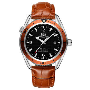 Reloj de Pulsera de Acero Inoxidable Mecánico Automático de Lujo para Hombre Paulareis, Resistente al Agua hasta 30 bar, con Fecha, para Negocios - Product Image 4