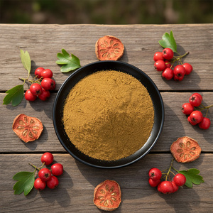 Groothandel Meidoornvrucht <span class=keywords><strong>Extract</strong></span> Meidoornbes <span class=keywords><strong>Extract</strong></span> Poeder 10:1 Meidoornvrucht <span class=keywords><strong>Extract</strong></span> - Product Image 4
