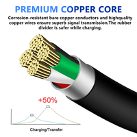 Câble Mini USB Type-C 2 m avec gaine en PVC et blindage en feuille d'aluminium pour lecteurs MP3/MP4, caméras embarquées, appareils photo numériques, récepteurs GPS