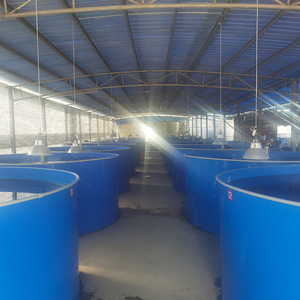 Équipement de système de pisciculture ras, système d'aquaculture pisciculture, aquarium pour le poisson-chat et le tilapia - Product Image 4