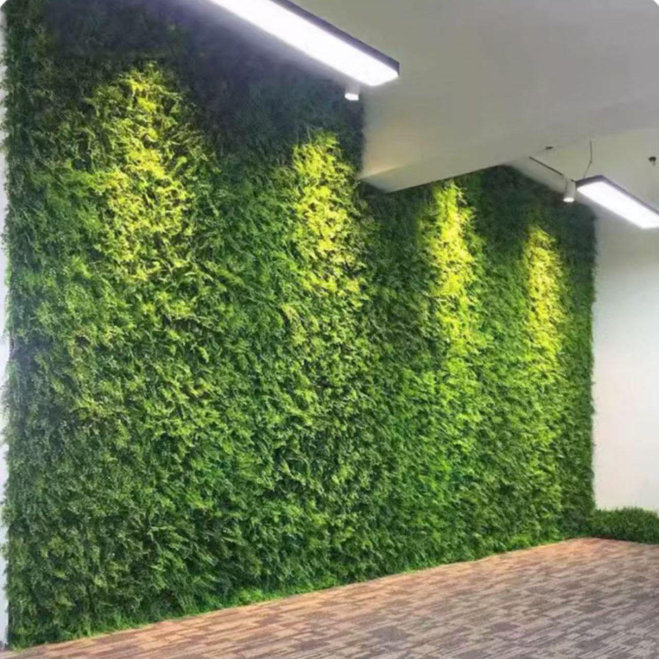 Herbe mixte riche et prospère/mètre carré