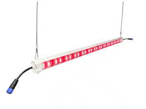 Chất lượng cao cấp 60W 80W dưới tán hai mặt phát triển ánh sáng đầy đủ dải Led có thể điều chỉnh độ sáng cho nông nghiệp trong nhà - Product Image 2