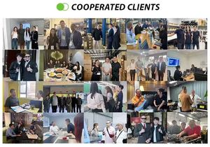 Enchufe Doble Tailandés <span class=keywords><strong>de</strong></span> Pared 10A 250V 2 Tomas <span class=keywords><strong>de</strong></span> Vidrio Templado con Control por Voz y Programación a través <span class=keywords><strong>de</strong></span> la App Smart Life - Product Image 5