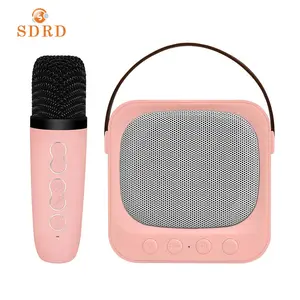 SDRD Sd503 minik ev Led mobil taşınabilir Karoke Mini Mic seti ve şarj edilebilir kablosuz Mini mikrofonlu hoparlör Bt Karaoke