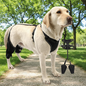 Attelle de genou réglable pour chien - Attelle de soutien de la ligament croisé antérieur (LCA) pour les pattes arrière des chiens |   Soulage les blessures des ligaments, les douleurs articulaires et la dysplasie de la hanche - Product Image 1