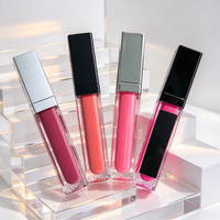 Vente en gros de gloss à lèvres personnalisé avec logo, de haute qualité, avec miroir, rouge à lèvres liquide pur imperméable, gloss à lèvres brillant en tube