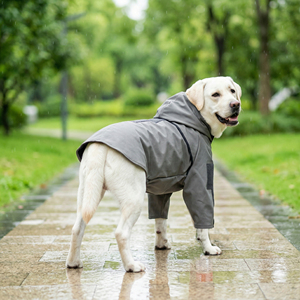 Impermeabile per Cani con Cappuccio, Tuta Grigia per Bulldog Francese, Abbigliamento Estivo Casual Sportivo per Cuccioli - Product Image 3