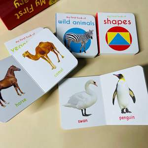 Mi Primera Biblioteca, Juego de Libros de Palabras <span class=keywords><strong>para</strong></span> la Educación Temprana y el Desarrollo Cognitivo de Niños, Versión Original <span class=keywords><strong>en</strong></span> Inglés, 10 Volúmenes <span class=keywords><strong>en</strong></span> Caja - Product Image 6