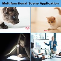 Stylo laser interactif rechargeable USB de haute qualité à lumière rouge pour chat, jouet d'entraînement et de stimulation pour chats