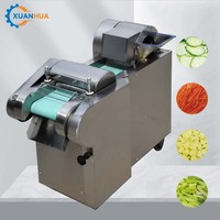 Commerciële elektrische gemotoriseerde 304 roestvrijstalen automatische groente- en fruitsnijder, aardappel-, ui- en wortelsnijder, -dicer en -hakker