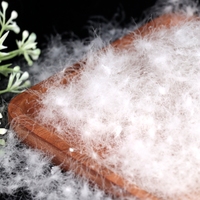 Duvet de canard blanc de qualité nationale à 90 %, garnissage haute pureté pour vestes d'hiver adultes/enfants, approvisionnement flexible