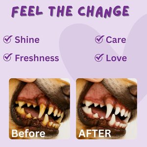 Toallitas Dentales Pawhuggy para Mascotas, 100 Unidades, Almohadillas para Dedos para Perros y Gatos, Alternativa para la Limpieza Dental - Product Image 5