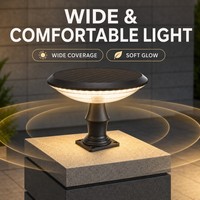 Lampe solaire architecturale de qualité supérieure 30W OEM ODM, norme européenne IP65, ronde, effet pleine lune, pour poteau de jardin ou balise paysagère