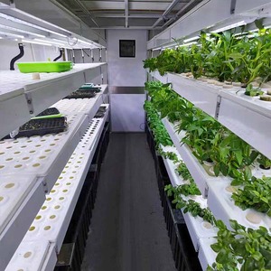 Contenedor de Cultivo Móvil, Agricultura Vertical con Riego Automático para Lechuga, Espinaca, Microvegetales y Varias Verduras de Hoja - Product Image 3