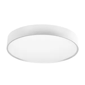 Top quality 2024 new product bedroom lamp 24w 40w 50w 80w 100w acrylic surface mounted lampara SMD led ceiling light