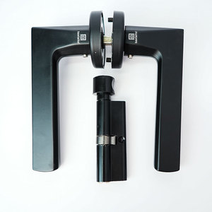 Modern Style Home Office Safe <b>Digital</b> <b>Lock</b> Parts Cylinder Tuya Smart Entrance <b>Lock</b> Body Set Door <b>Lock</b> Handle Set - Product Image 5