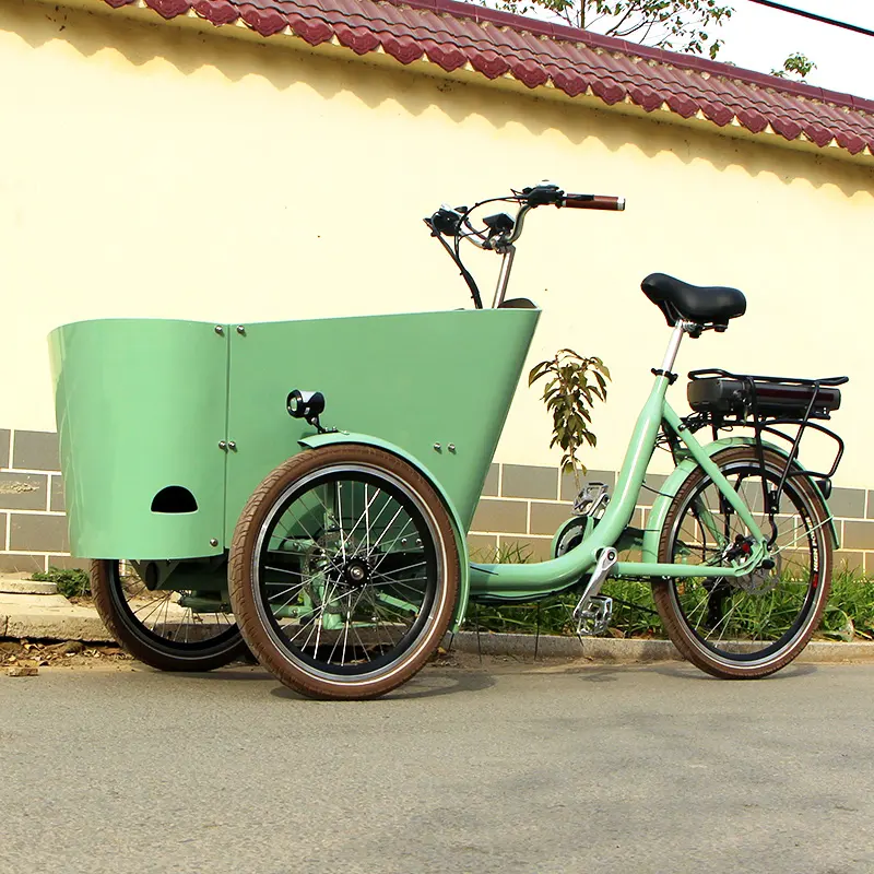 Elektrische Cargo Bike Hoge Kwaliteit Twin Kinderwagen Driewieler Bakfiets Goedkope Elektrische Fiets Huisdier Cargo Trailer Voor Hond