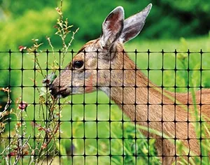 农园热卖高品质防动物塑料鹿护栏网