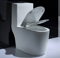 Ensemble WC monobloc en céramique blanche à chasse directe avec siphon en S, à poser au sol, pour salle de bain et hôtel (vente en gros)