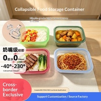 Boîte à lunch pliable en silicone pour l'extérieur avec couvercle, qualité alimentaire, résistante au micro-ondes, anti-odeur, boîte de conservation pour le camping