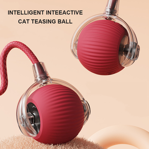 Palla Giocattolo per Gatti con Logo Personalizzato, Palla Rotolante per Gatti, Giocattolo in Peluche per Alleviare la Noia, Giocattolo Interattivo per Animali Domestici - Product Image 2