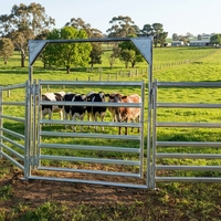 Panneaux de Contention pour Bétail en Acier Galvanisé Robuste, Portes Coulissantes, Rampes de Chargement, Clôtures Agricoles et Treillis