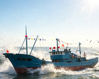 Chaloupe de pêche commerciale en acier Grandsea de 37 m, neuve, diesel, pour la pêche en haute mer, à vendre