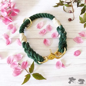 Nuevo Producto 2026 2026 2024 Collar para Perro de Lujo, Colorido y Elegante, con Logotipo Personalizado, de Cuerda de Cáñamo, Multicolor, con Etiqueta - Product Image 2