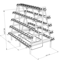 Système de culture aéroponique Tru Spring Frame NFT avec pompe, irrigation automatique, kit de culture hydroponique à circulation d'eau pour légumes-feuilles 1