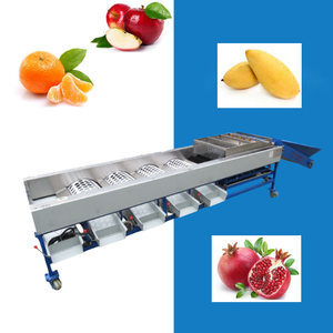 Máquina clasificadora de frutas de larga duración, máquina clasificadora de frutas por tamaño, máquina de lavado y clasificación de frutas - Product Image 4