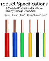 Fil de cuivre isolé en PVC à âme unique BV 1,5 mm² 450/750V 100m/rouleau pour câblage domestique – Vente directe usine