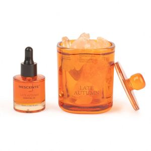 Coffret Cadeau Diffuseur d'Arômes MESCENTE en Pierre de Sel Cristalline pour la Fin de l'Automne, Cylindre en Verre pour Huile Essentielle 30ml - Product Image 2