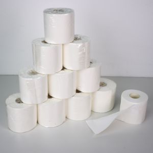 Tùy chỉnh giá rẻ nổi Trinh gỗ bột giấy 10 cuộn gói lõi giấy vệ sinh giấy cho nhà - Product Image 4