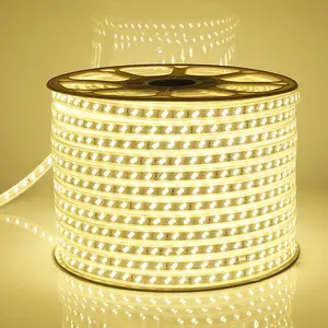 LED-Lichtst reifen Außen wasserdicht zweireihig 5730 dreifarbig Hochdruck Großhandel RGB 2835 Flexible Neon Soft Light Strips