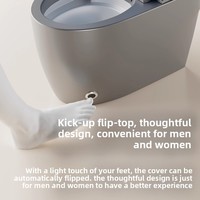 WC intelligent couleur moderne, cuvette de toilette chinoise monobloc, équipement sanitaire de salle de bain, siège chauffant entièrement automatique, double chasse d'eau, télécommande