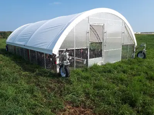 <span class=keywords><strong>Poulailler</strong></span> mobile à double couche en PVC à faible coût avec système d'alimentation et d'abreuvement, serre pour poulets - Product Image 3