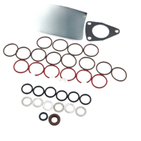 Herramientas de inyector diésel, bomba PW, precio de fábrica, kit de reparación de inyector Common Rail