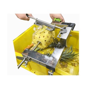 Machine à éplucher et à trancher l'ananas, modèle commercial de renommée mondiale - Product Image 4