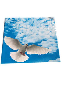 Soundproof Waterproof Plastic Square Pvc <strong>Ceiling</strong> 595*595 /603*603mm - Product Image 3