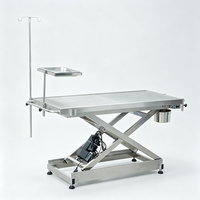 Table d'opération vétérinaire en acier inoxydable 304, table d'opération électrique pour animaux de compagnie à température constante pour clinique