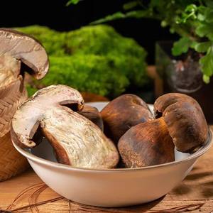<span class=keywords><strong>Hongo</strong></span> comestible de China, seta fresca/congelada, bolitus, edolis, Porcini - Product Image 3